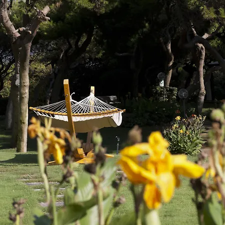 Grand Costa Brada Gallipolli